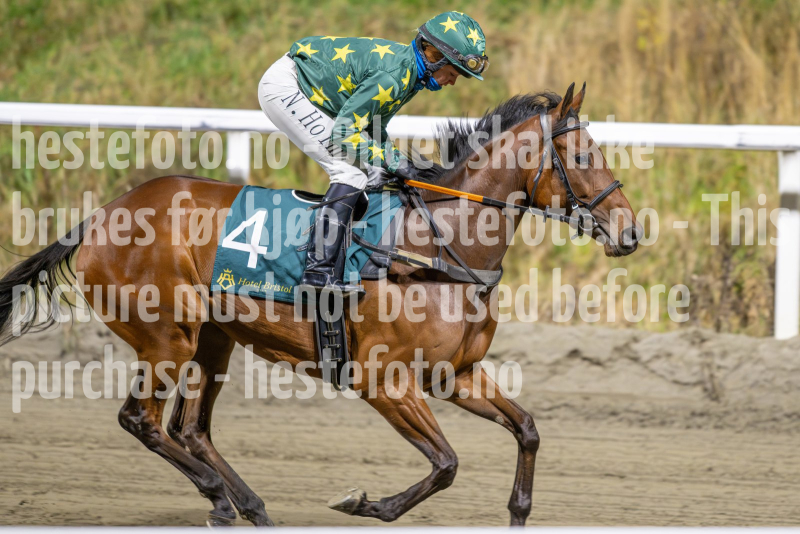 20251113-184805-DSC_8539