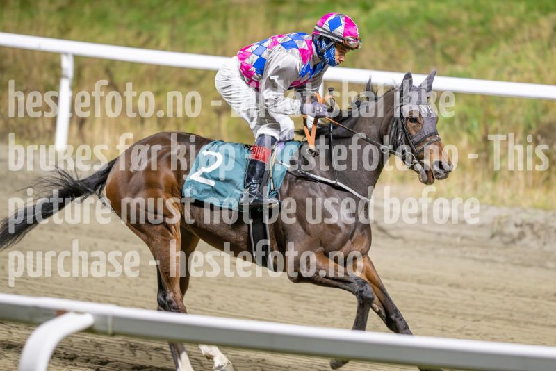 20251113-184852-DSC_8566