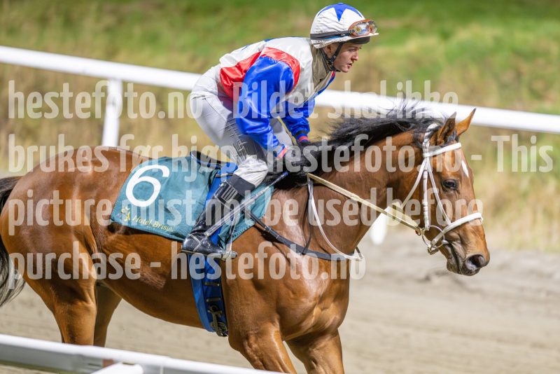 20251113-184904-DSC_8610