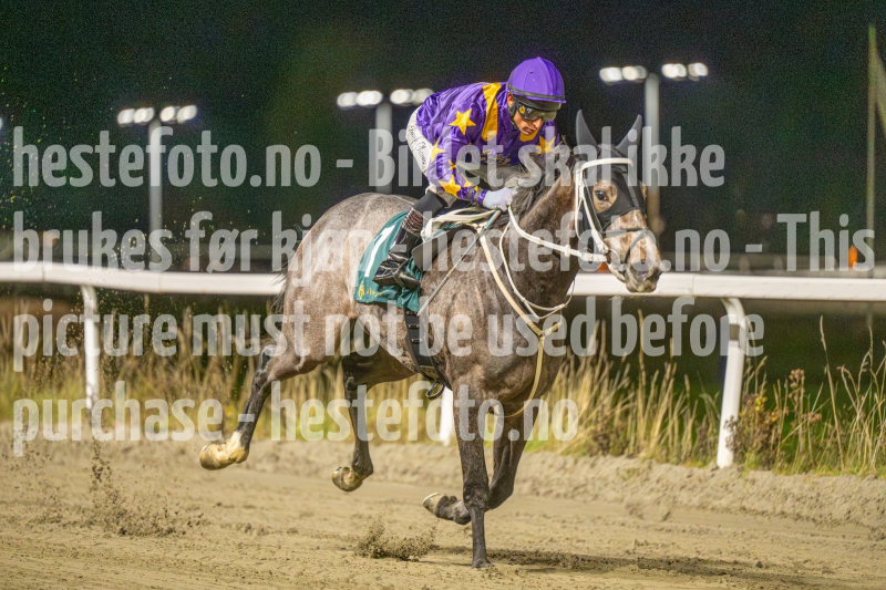 20251113-185324-DSC_0942