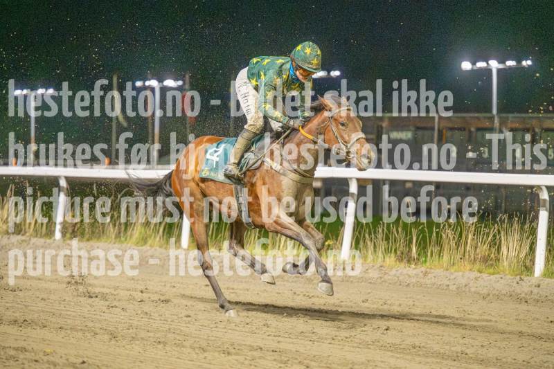 20251113-185326-DSC_0944