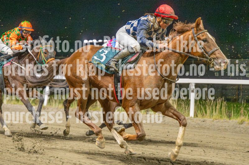 20251113-185327-DSC_0948