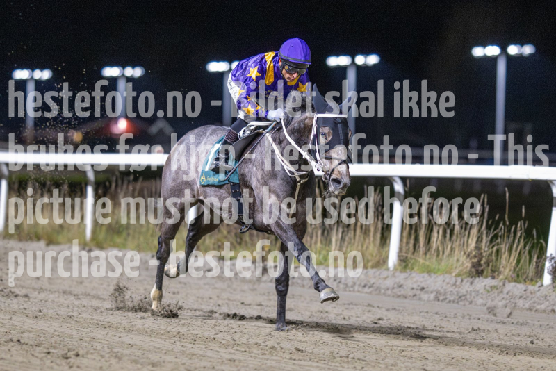 20251113-185414-DSC_8632