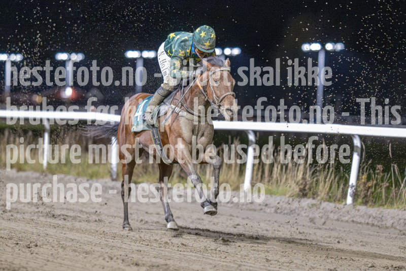 20251113-185415-DSC_8644