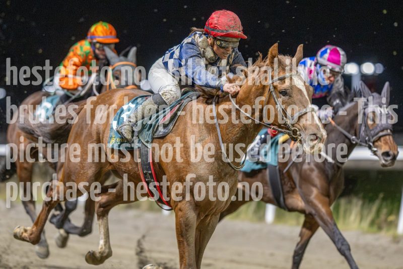 20251113-185417-DSC_8668