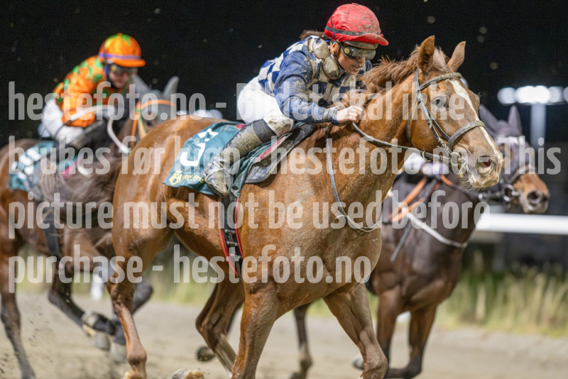 20251113-185417-DSC_8670