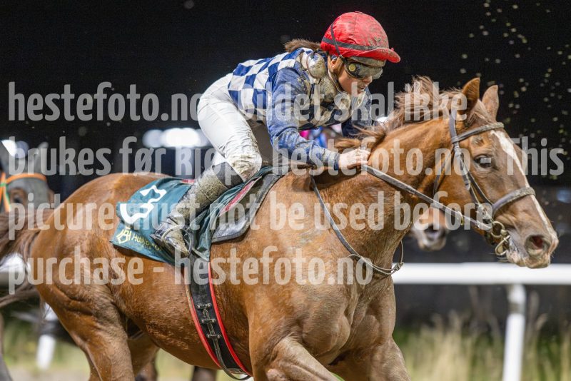 20251113-185417-DSC_8673