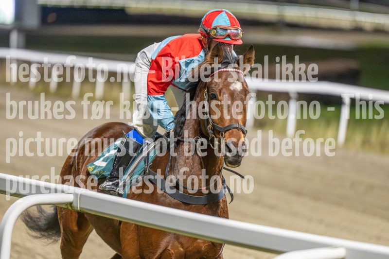 20251113-191013-DSC_0983