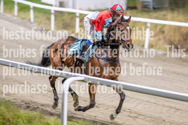 20251113-191106-DSC_8722