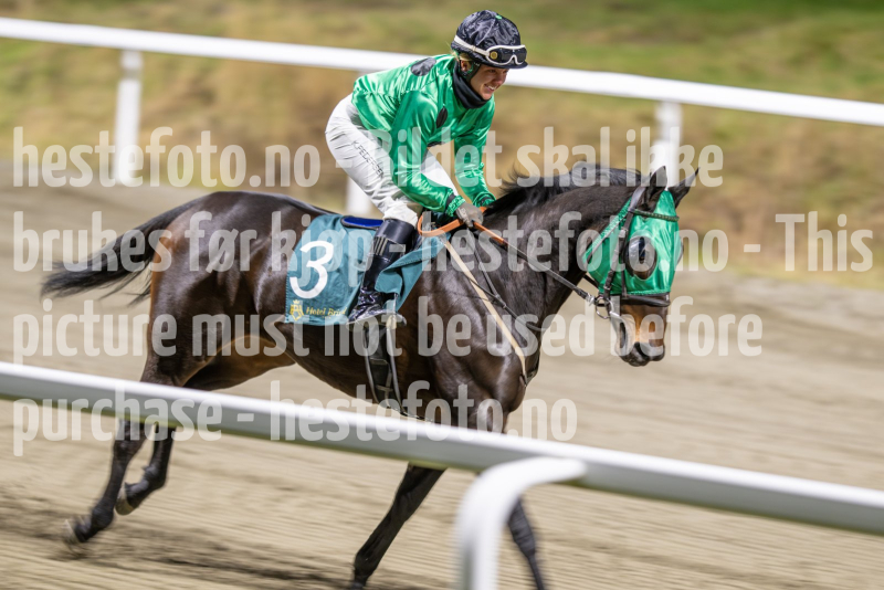 20251113-191151-DSC_8781