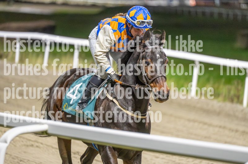 20251113-191214-DSC_1068