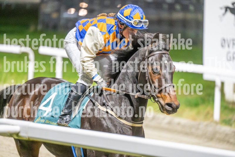 20251113-191215-DSC_1073