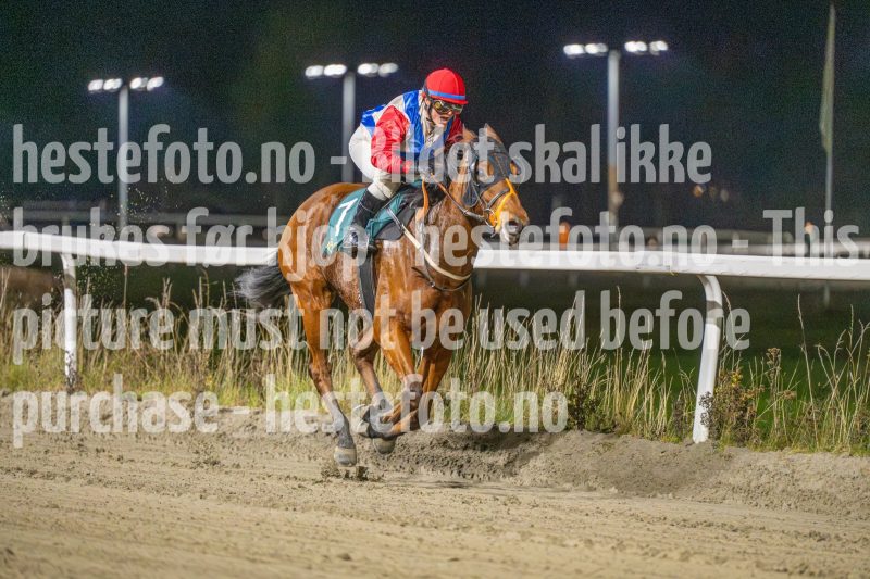 20251113-191743-DSC_1078