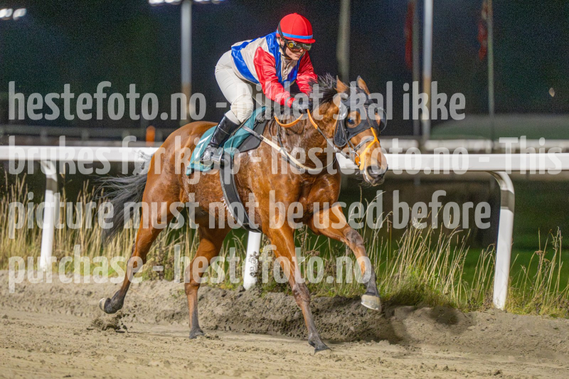 20251113-191744-DSC_1080