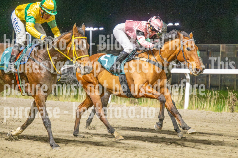 20251113-191745-DSC_1085