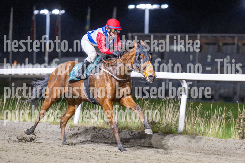 20251113-191834-DSC_8899