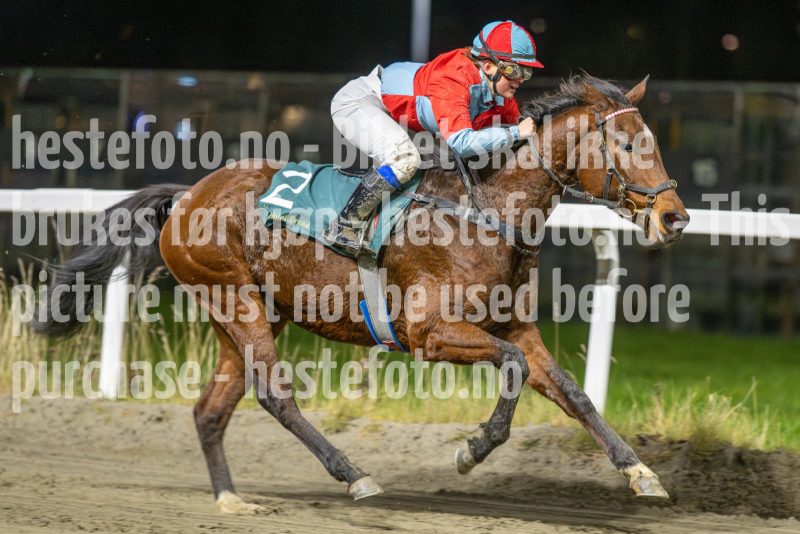 20251113-191841-DSC_8941