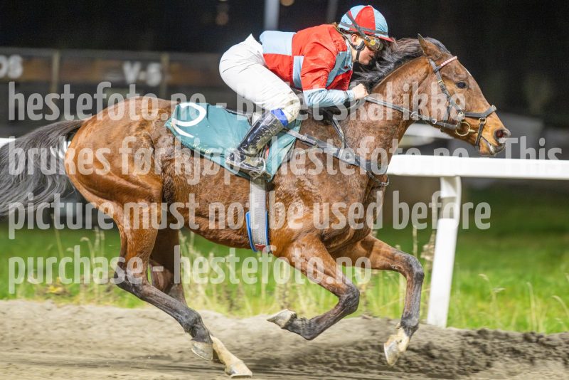 20251113-191841-DSC_8949