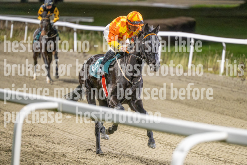 20251113-193630-DSC_1125