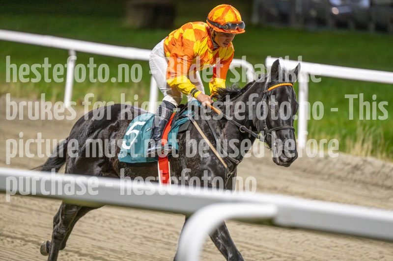 20251113-193631-DSC_1131