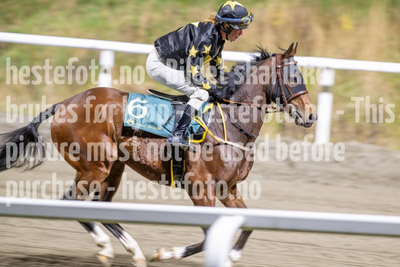 20251113-193716-DSC_8991