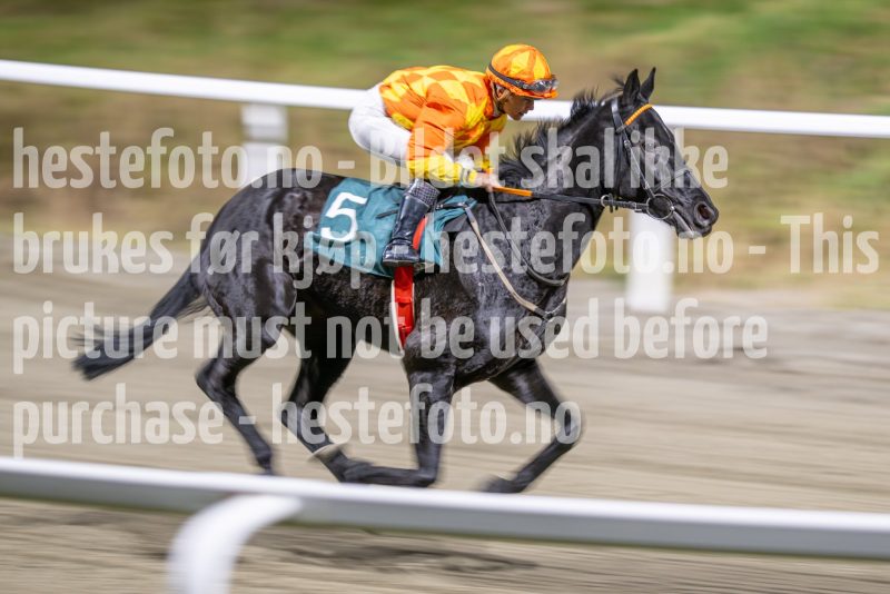 20251113-193723-DSC_9010