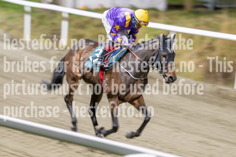 20251113-193746-DSC_9049