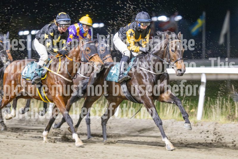 20251113-194629-DSC_9114