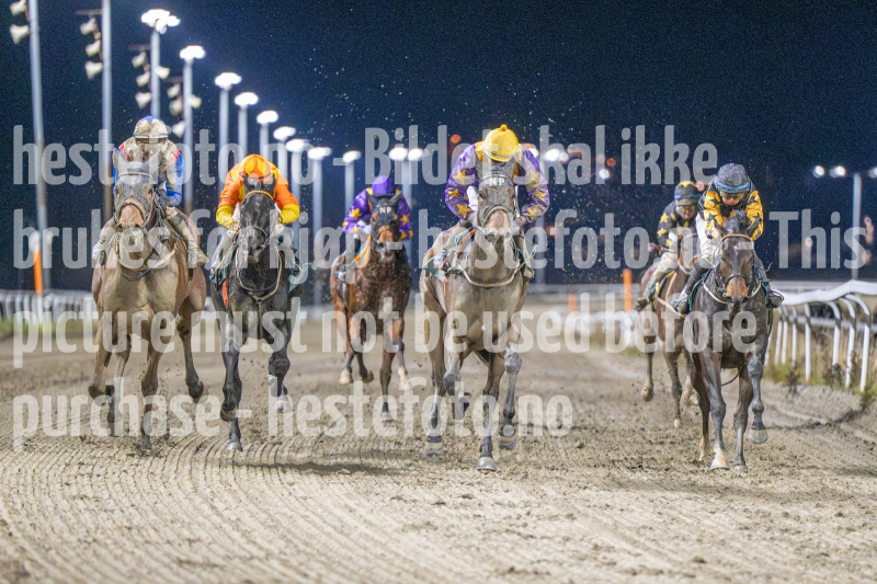 20251113-194709-DSC_1178