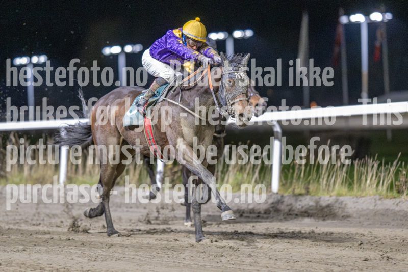 20251113-194757-DSC_9195