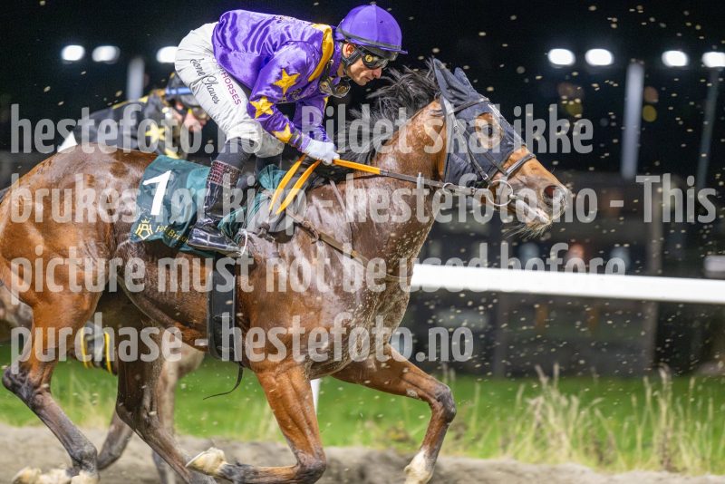 20251113-194759-DSC_9228