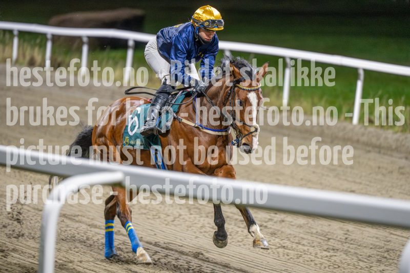 20251113-200227-DSC_1209