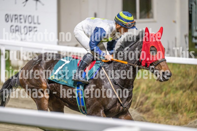 20251113-200259-DSC_1229