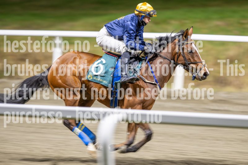 20251113-200318-DSC_9252