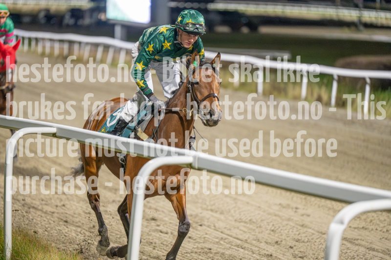 20251113-200336-DSC_1234