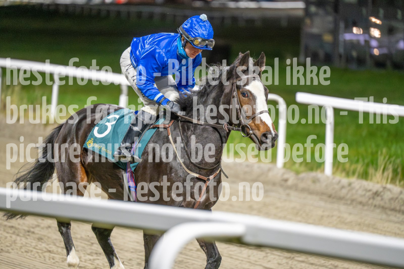 20251113-200355-DSC_1265