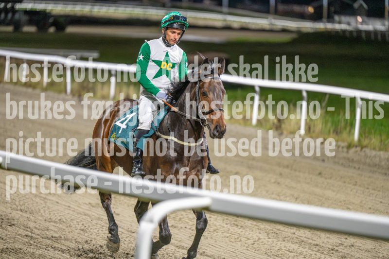 20251113-200431-DSC_1275