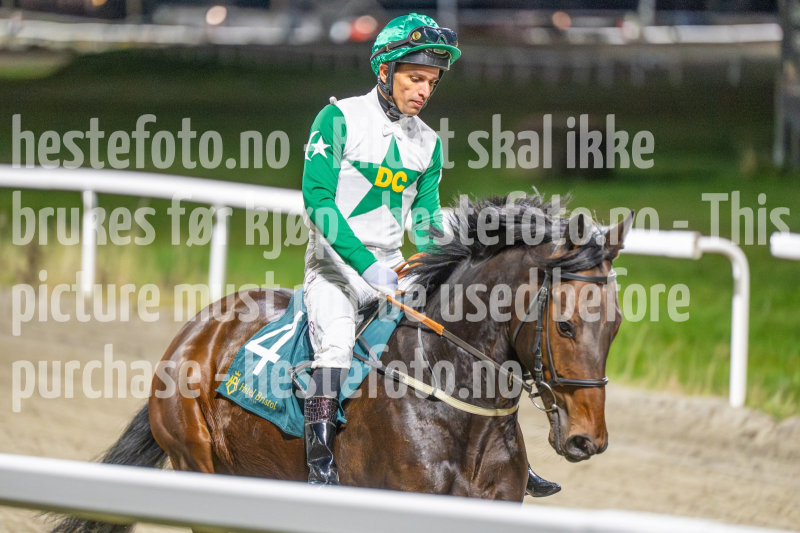 20251113-200432-DSC_1280