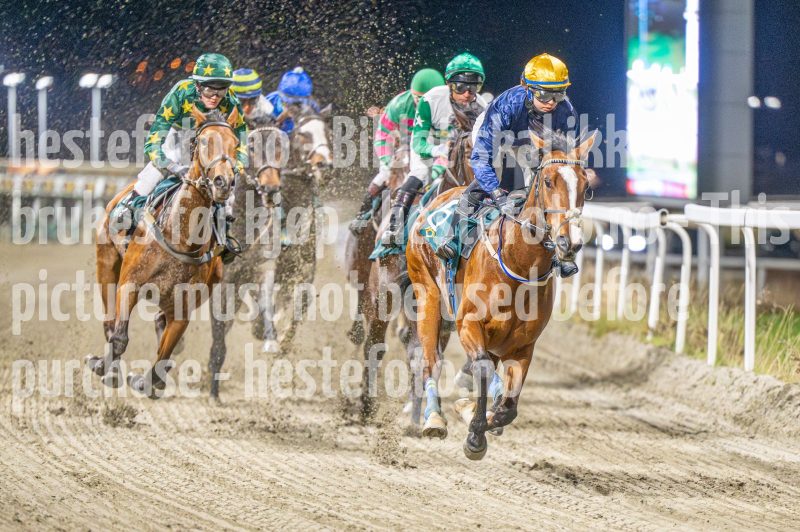 20251113-201048-DSC_1288