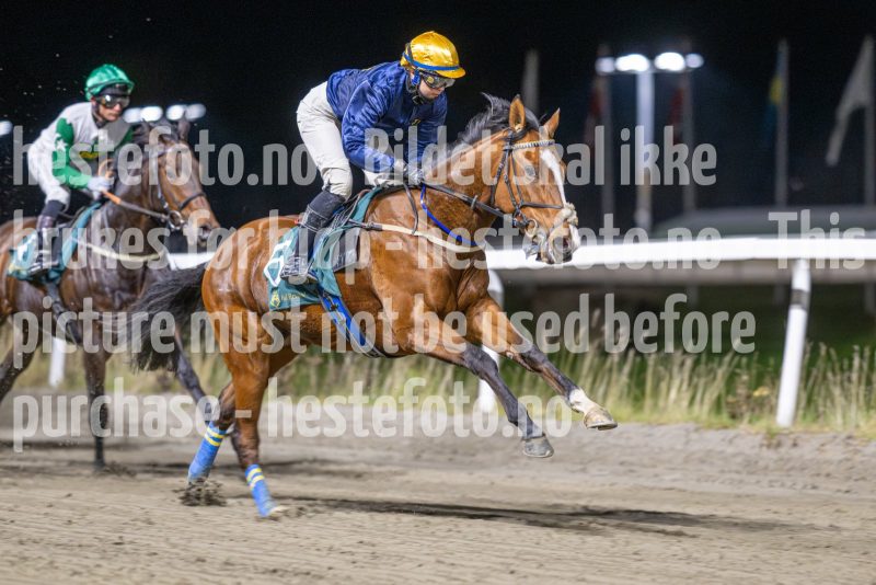 20251113-201136-DSC_9486