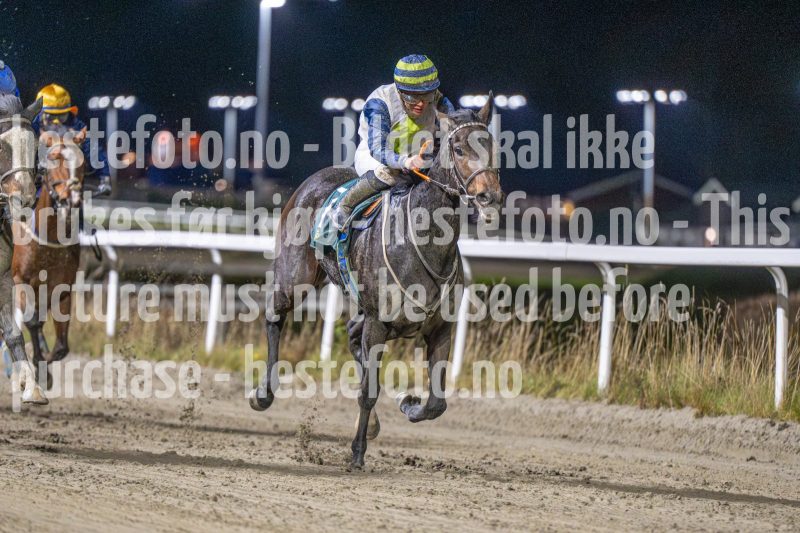 20251113-201215-DSC_1303