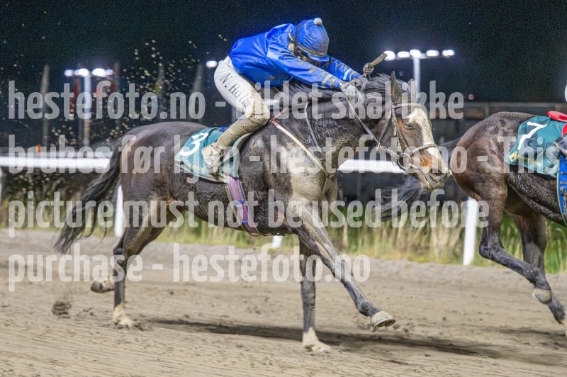 20251113-201217-DSC_1310