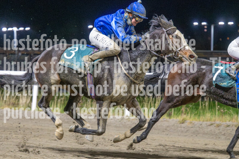 20251113-201217-DSC_1312