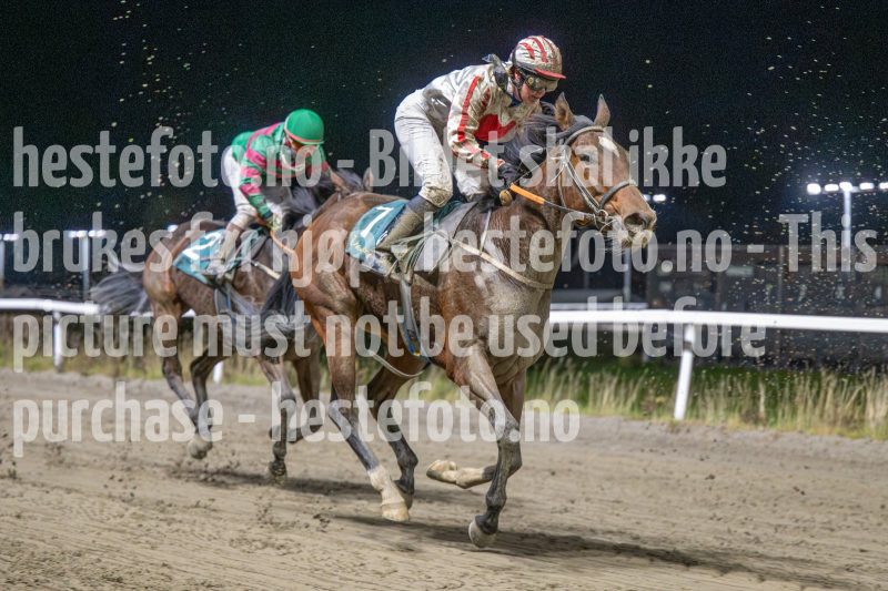 20251113-201218-DSC_1314