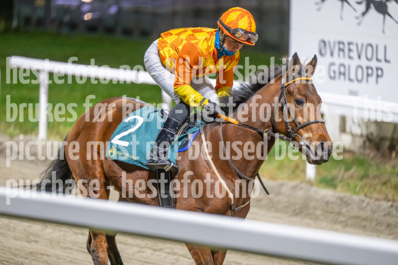 20251113-204336-DSC_1327