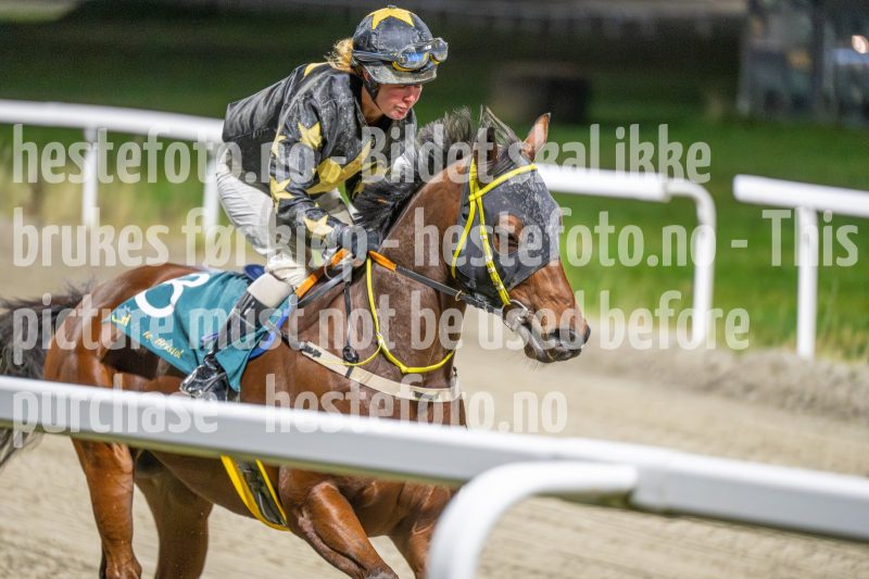 20251113-204349-DSC_1351