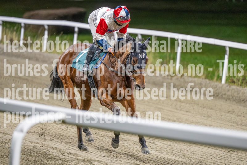 20251113-204410-DSC_1357