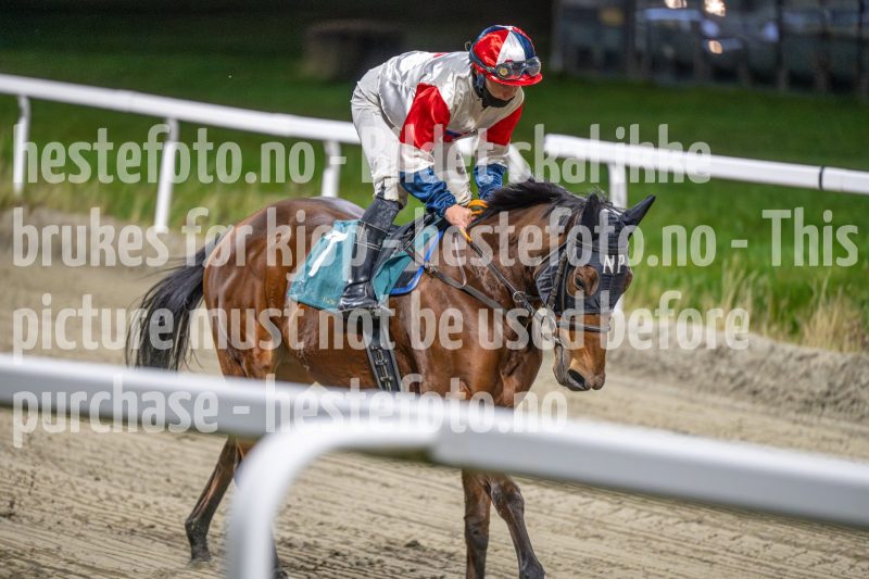 20251113-204410-DSC_1362