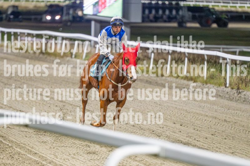 20251113-204432-DSC_1370