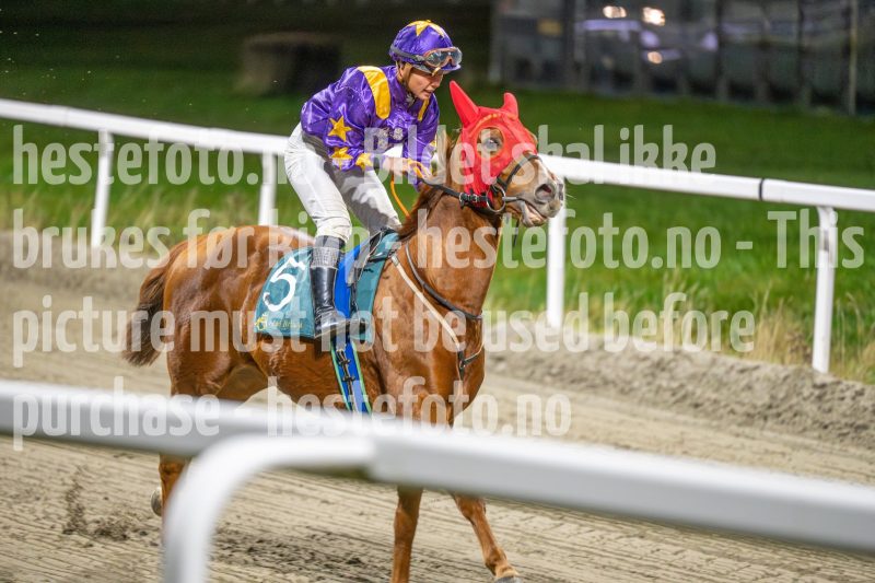 20251113-204436-DSC_1396